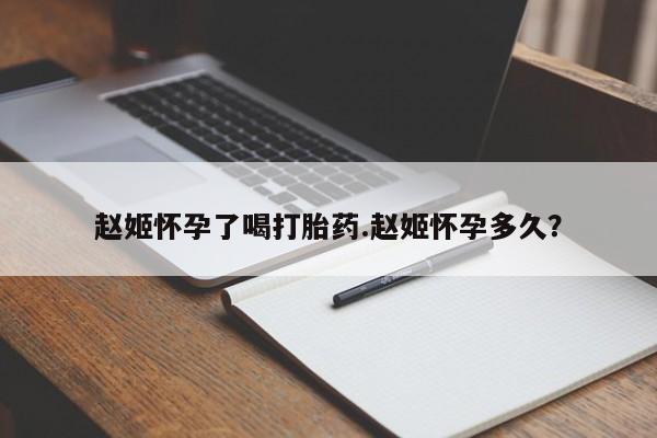 哪里有米索前列醇片赵姬怀孕了喝打胎药.赵姬怀孕多久？