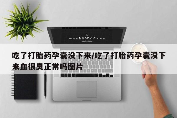 哪里有米索前列醇片吃了打胎药孕囊没下来/吃了打胎药孕囊没下来血很臭正常吗图片